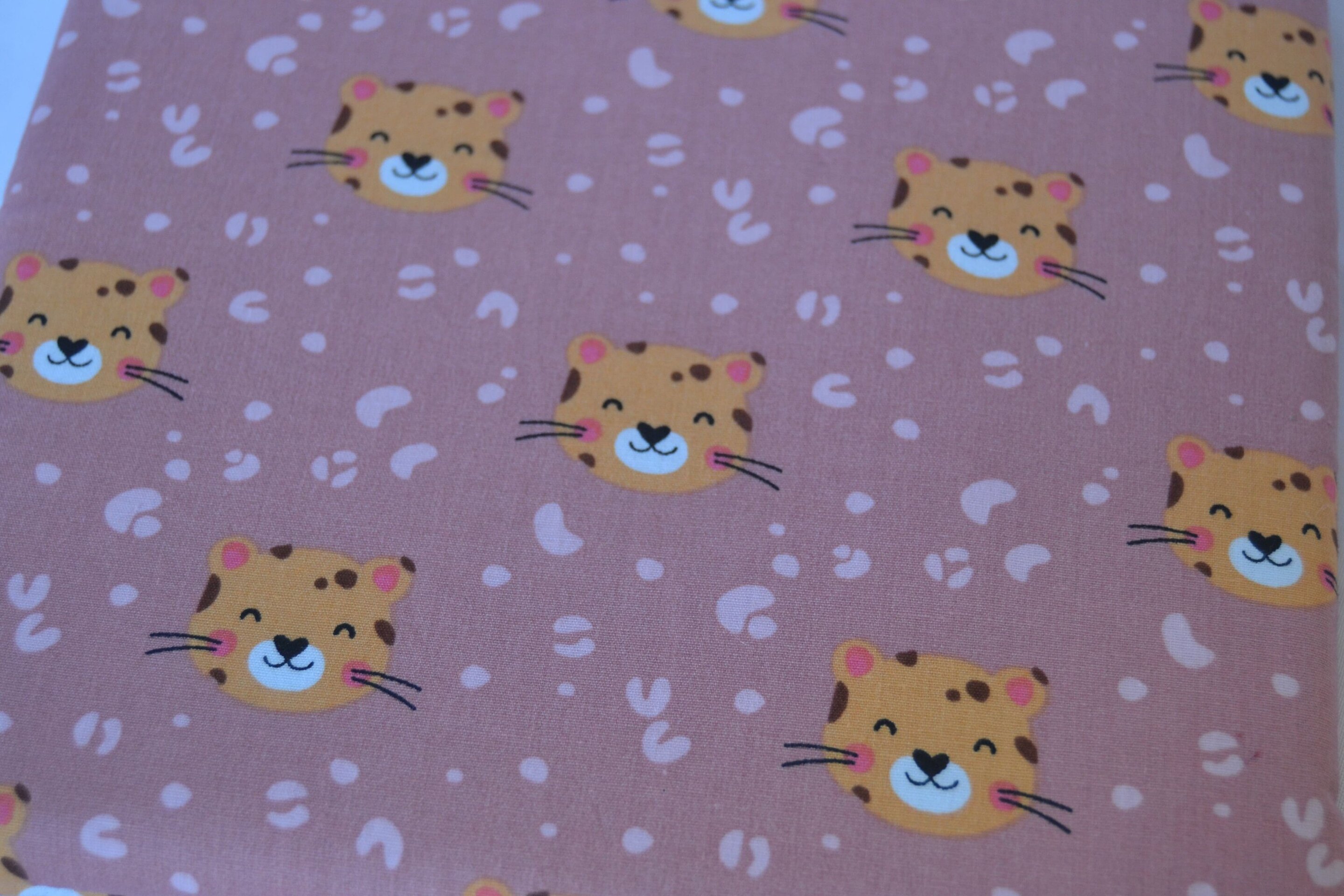 FUNDA LIBRO LEOA - 4